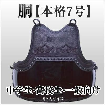 剣道 胴 （剣道胴・色胴の通販｜剣道の専門店【竹島武道具】公式