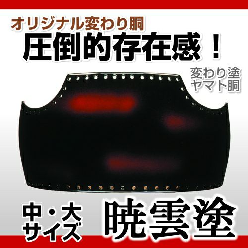 暁雲塗 60本胴本漆手塗胴台 日本製 紐付 胴 剣道 開き約42.5cm 